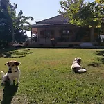 σπίτι με κήπο στους γόμφους τρικάλων بيت للعطل