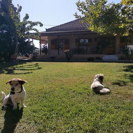Σπίτι Με Κήπο Στους Γόμφους Τρικάλων Holiday home