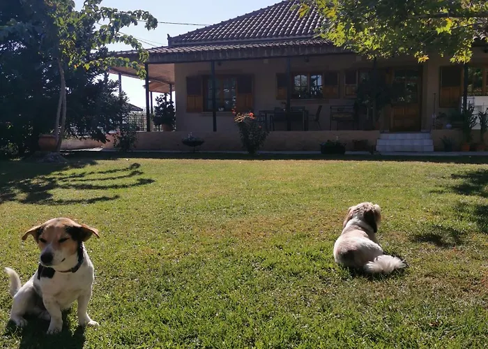 Σπίτι Με Κήπο Στους Γόμφους Τρικάλων Vakantiehuis